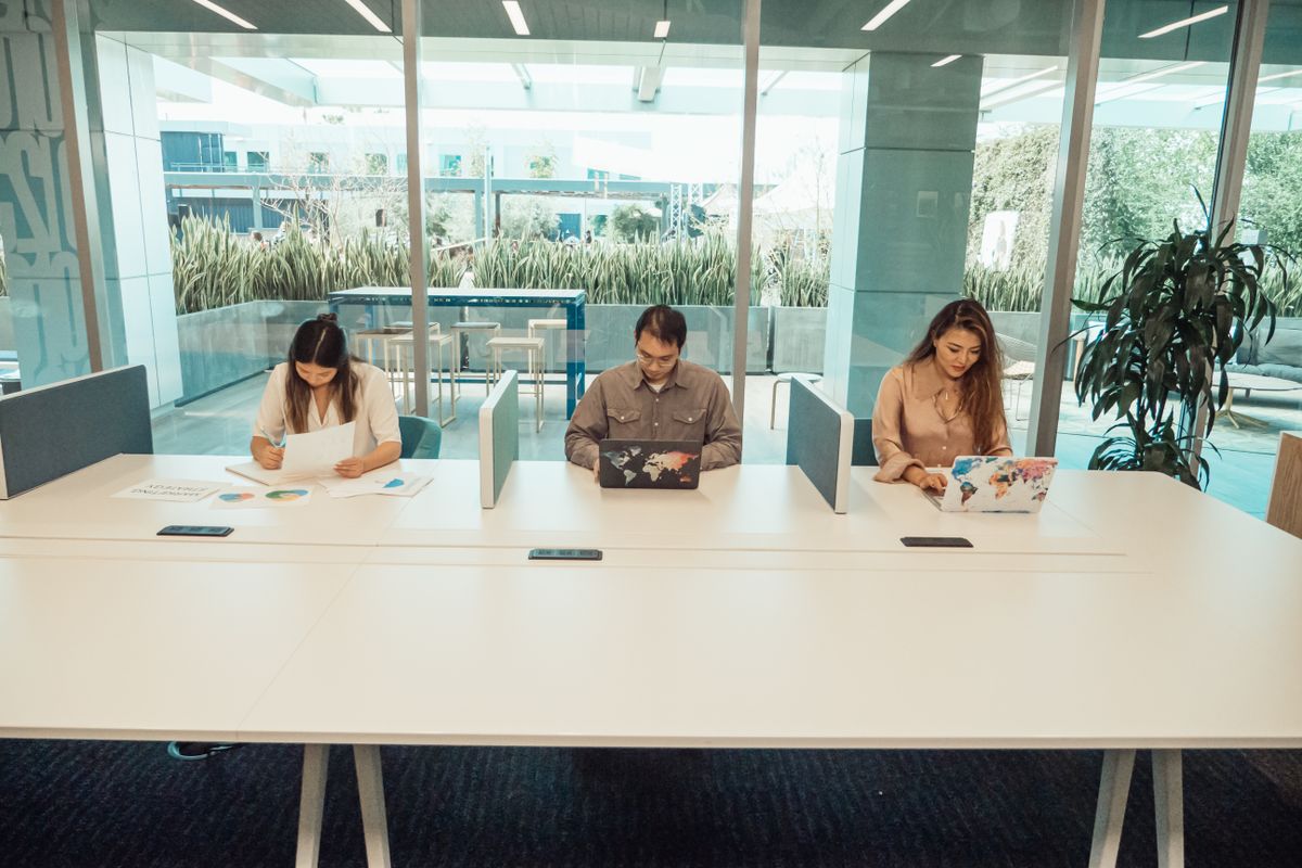 A team at work together during the day